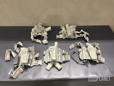 (42) Individual Holsters
