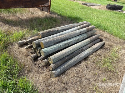 Quantity of (24) 4 in x 6 ft Fence Post