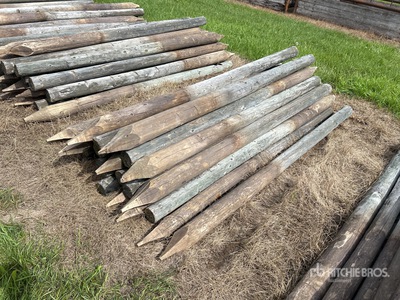 Quantity of (23) 4 in x 7 ft Fence Post
