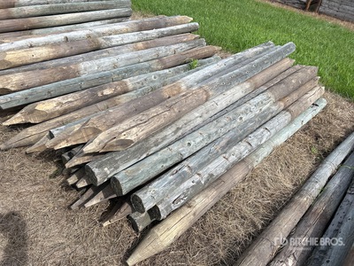 Quantity of (25) 4 in x 7 ft Fence Post