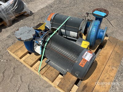 Quantity of (2) Patterson Water Pump