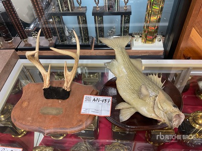 deer and bass mounts