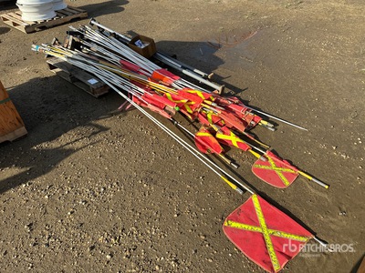Quantity of Vehicle Whip Flags Varios. Industrial