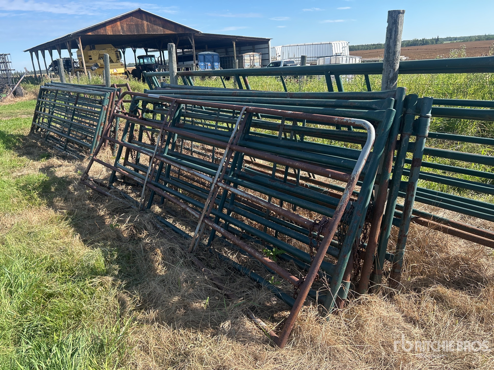 Quantity of (6) 12 ft Livestock Gate