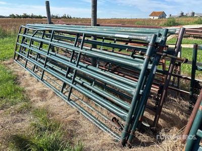 Quantity of (5) Hi-Hog 16 ft Steel Livestock Gate