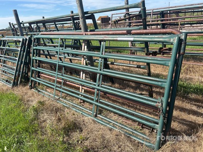 Quantity of (3) Hi-Hog 10 ft Livestock Gate
