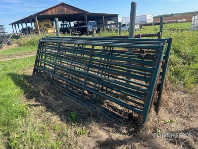 Quantity of (5) Hi-Hog 14 ft Livestock Gate