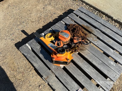Quantity of (2) Procore Chain Hoist