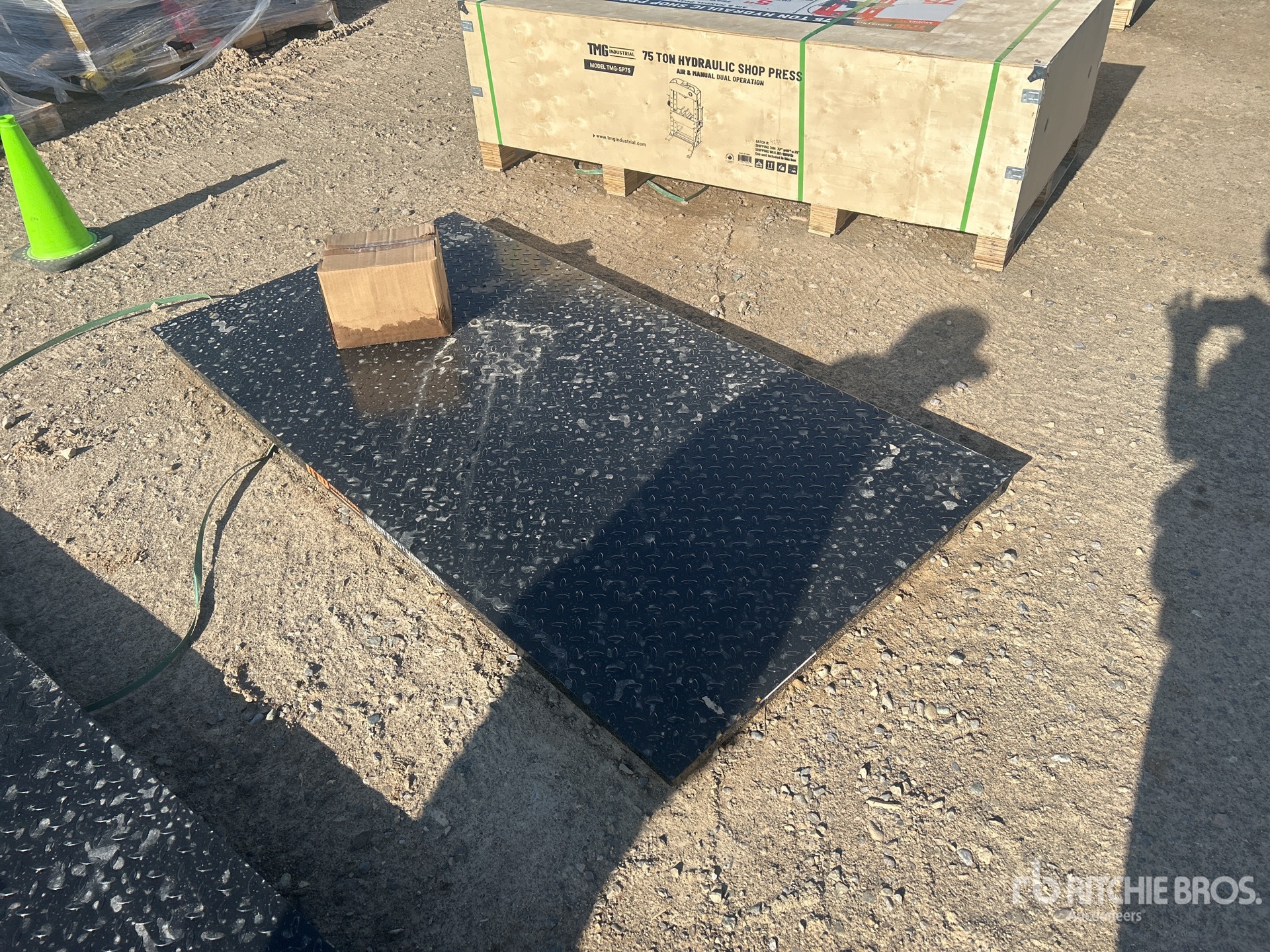 2025 TMG FS10 Platform Scale (Unused)