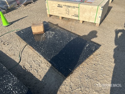 2025 TMG FS10 Platform Scale (Unused)