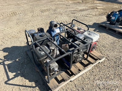 Quantity of (4) Water Pumps Varios, Bomba