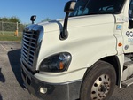 General Appearance with Paint