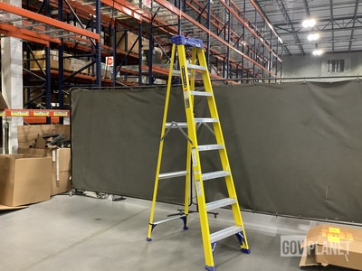 Louisville FS2008 Ladder