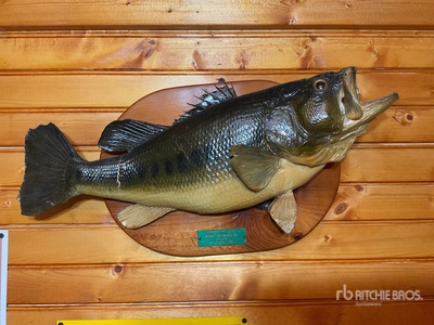 mounted bass