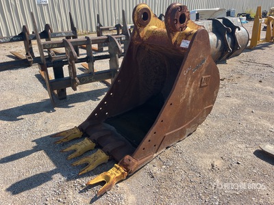 Cat 42 in Digging Excavator Bucket