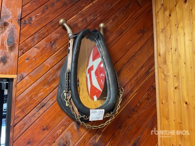 mule yoke mirror