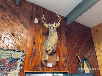 mounted deer gun rack