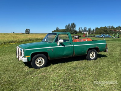 1981 Chevrolet Custom Deluxe 20 4x2 Pickup