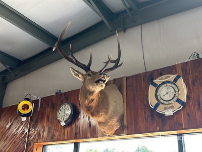 Elk Mount antique
