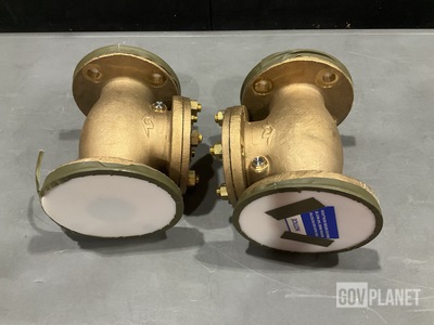 (2) Samuel Levine 1291-005 212 Check Valves