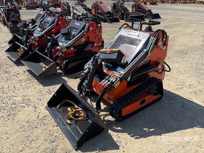 2025 SDLOOL SL36C Mini Compact Track Loader (Unused)