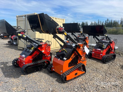 2025 SDLOOL SL36C Mini Compact Track Loader (Unused)