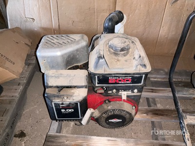 Briggs & Stratton 2 in Bomba de agua