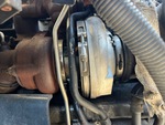 Engine with Exhaust System