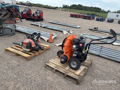 Quantity of (3) Leaf Blower