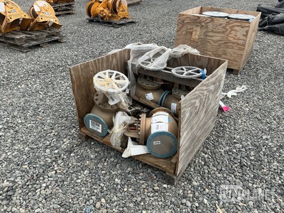 (4) Globe Valves