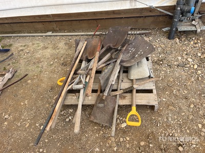 Quantity of Shovels Varios, tienda, almacen, consumidor