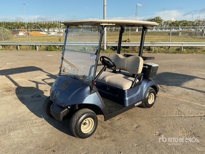 2017 Yamaha DR2E17 Electric Golf Cart