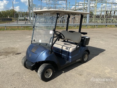 2017 Yamaha DR2E17 Electric Golf Cart