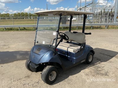 2017 Yamaha DR2E17 Electric Golf Cart