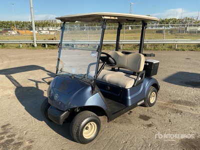 2017 Yamaha DR2E17 Electric Golf Cart