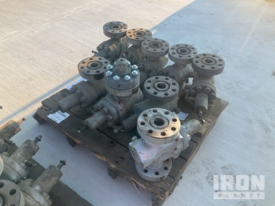 Quantity of (9) Gate Valves