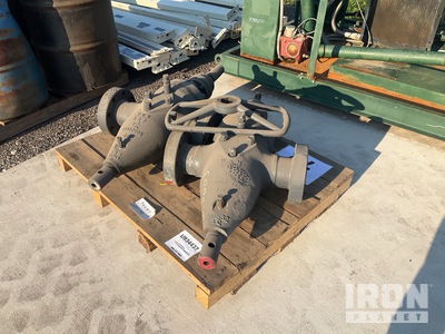 Quantity of (2) Gate Valves