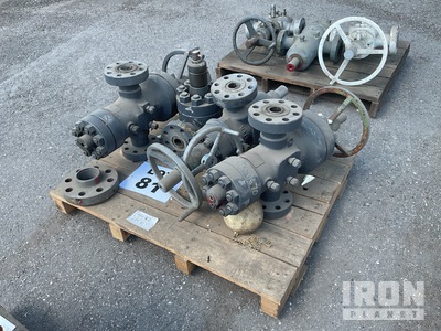 Quantity of (4) Gate Valves