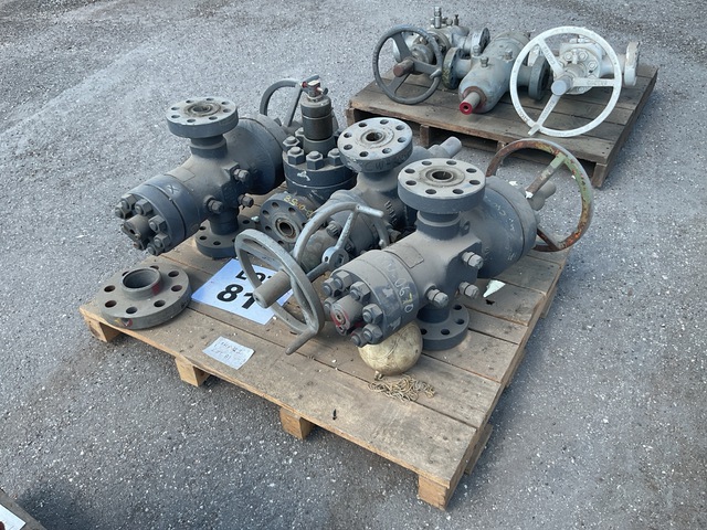 Quantity of (4) Gate Valves