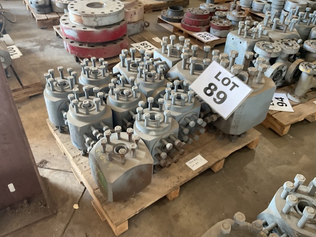 Quantity of Studded Tees