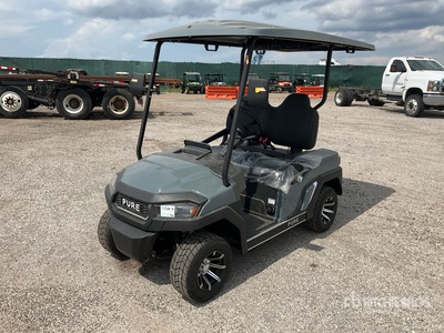 Pure Electric Golf Cart