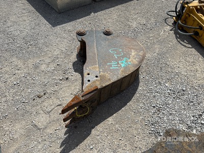 Cat 11 in Digging Excavator Bucket