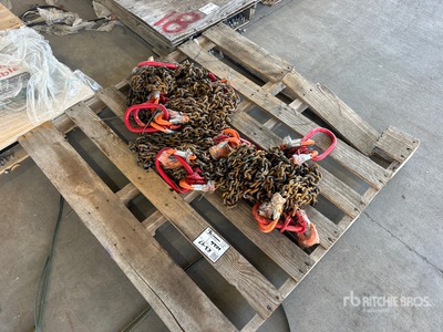 Quantity of (6) 2024 Landhonor LHR-G80 Double Leg Chain Sling (Unused)