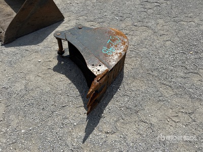 Cat 11 in Digging Excavator Bucket