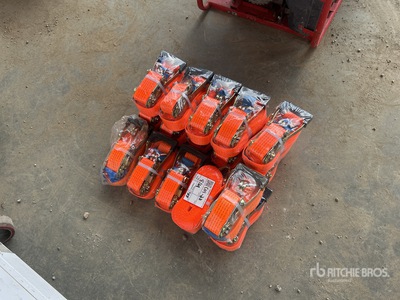 Quantity of (18) ratchet straps