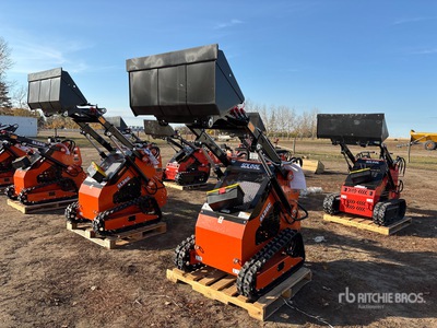 2025 SDLOOL SL36C Mini Compact Track Loader (Unused)