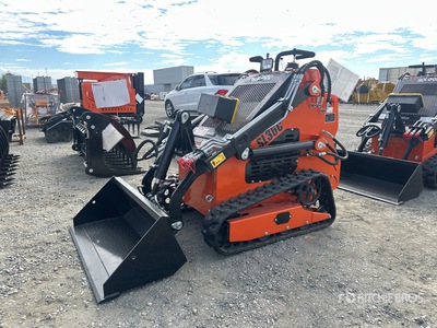 2025 SDLOOL SL36C Oruga cargadora compacta (Unused)