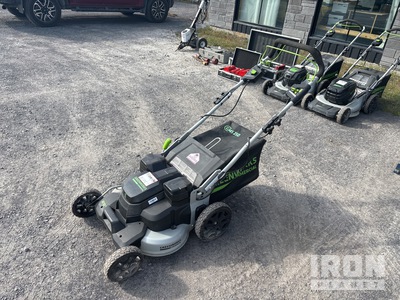 Greenworks GMS250 Walk-Behind Electric Tondeuse à gazon