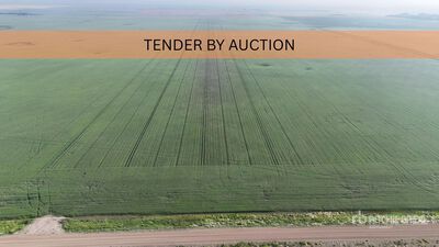 Carnduff, SK SE 7-2-32-W1 159.87 +/- Acres on Title PID 2349199 Farmland