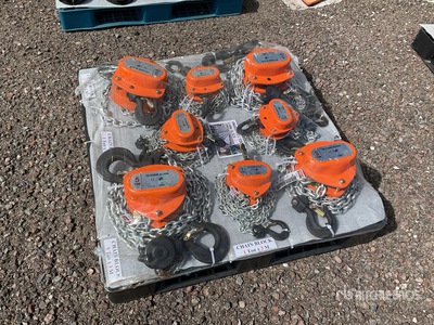 Quantity of (8) 2025 Lote de 8 Polipastos (Sin Usar) / Chain Blocks (Unused)